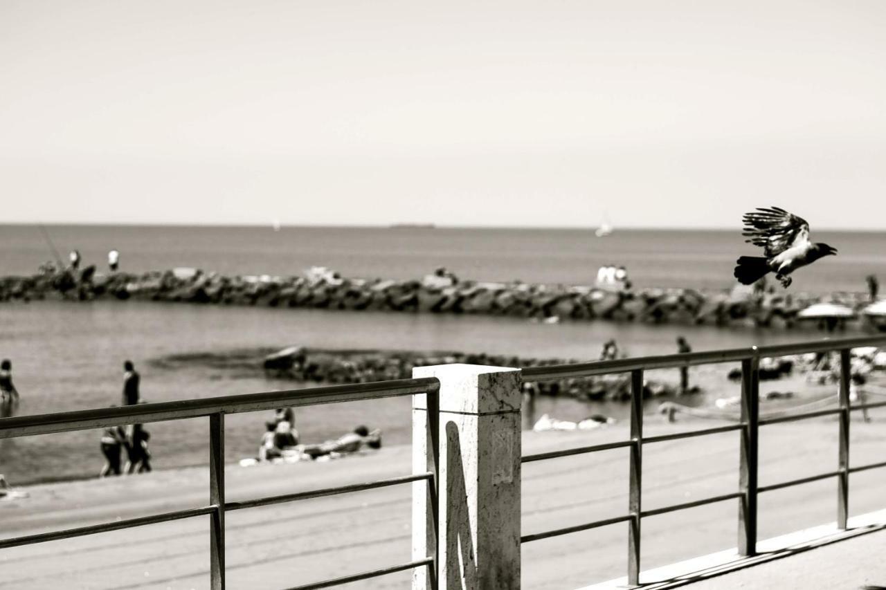 Open Space On The Sea Of Rome !:) Lägenhet Lido di Ostia Exteriör bild